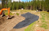 Allasmuovia
