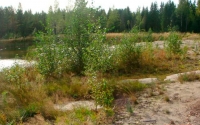 Täyttöaluetta luonnon muokkaamana