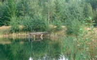 Tervaleppää